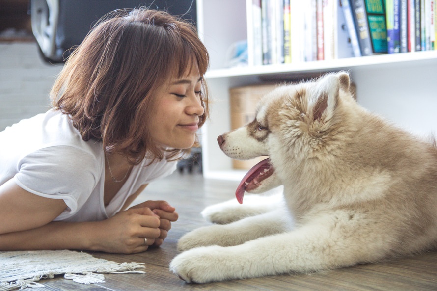 The Data Behind Marketing To Pet Owners